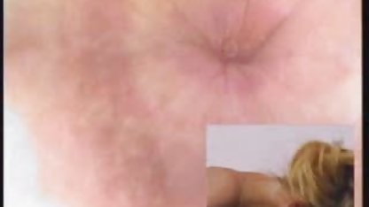 Apa yang terjadi dengan kucing bokep xxxx barat